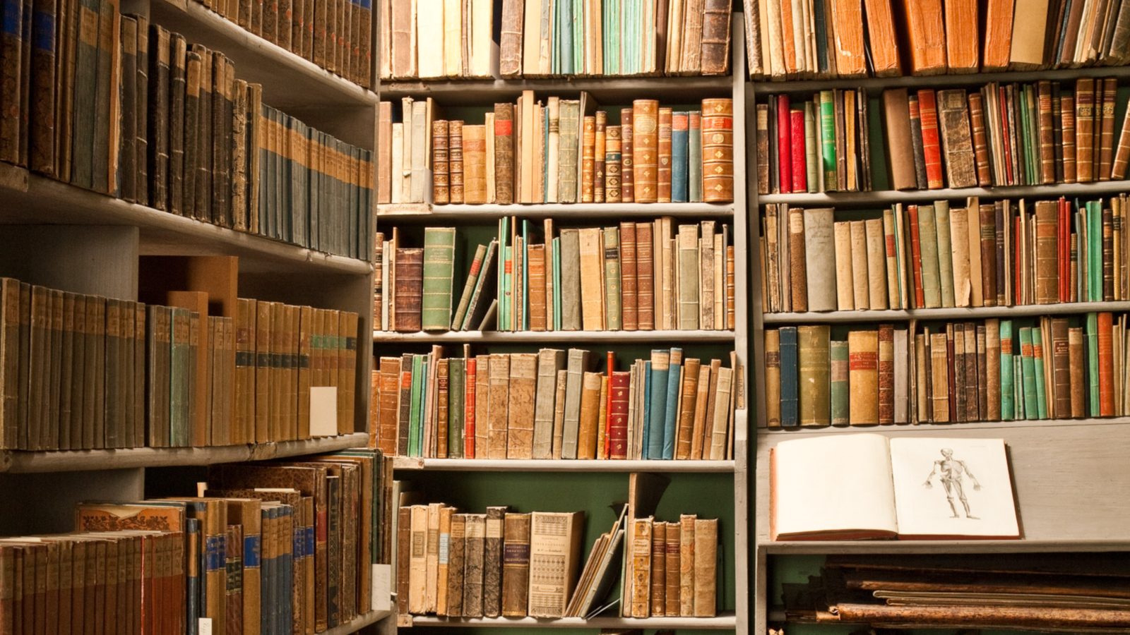 Goethes Bücher